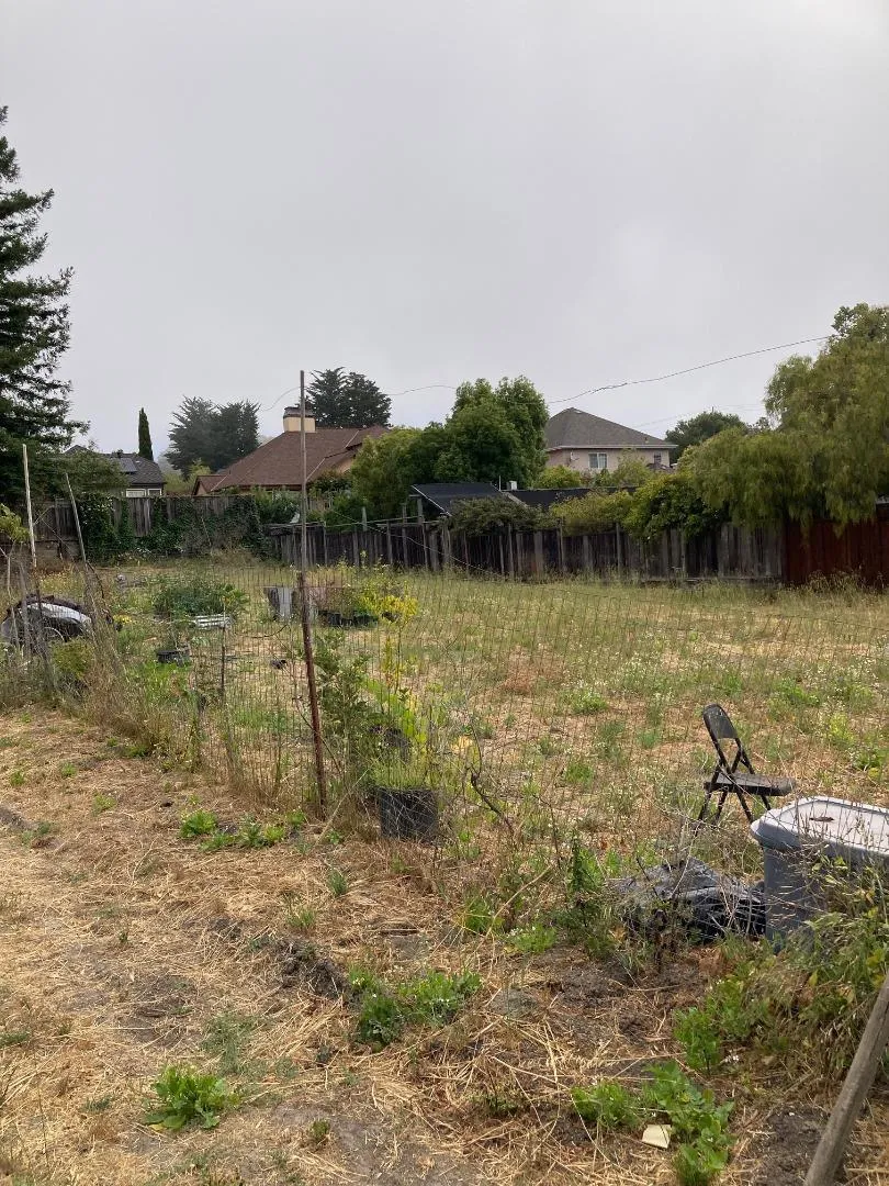 514 Meder Street Santa Cruz, CA 95060