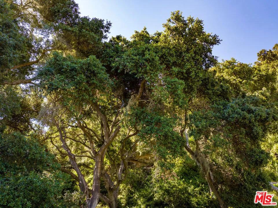 7200 Hwy 1 Lompoc, CA 93436