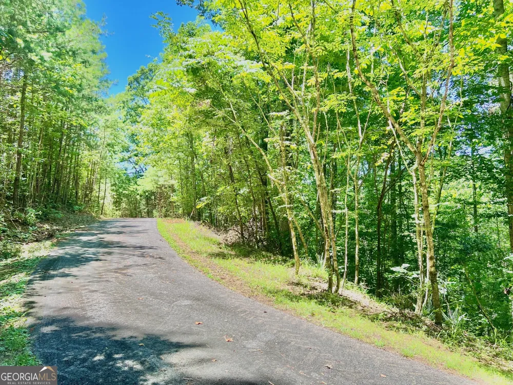 64 Meadow Brooke DR Young Harris, GA 30582