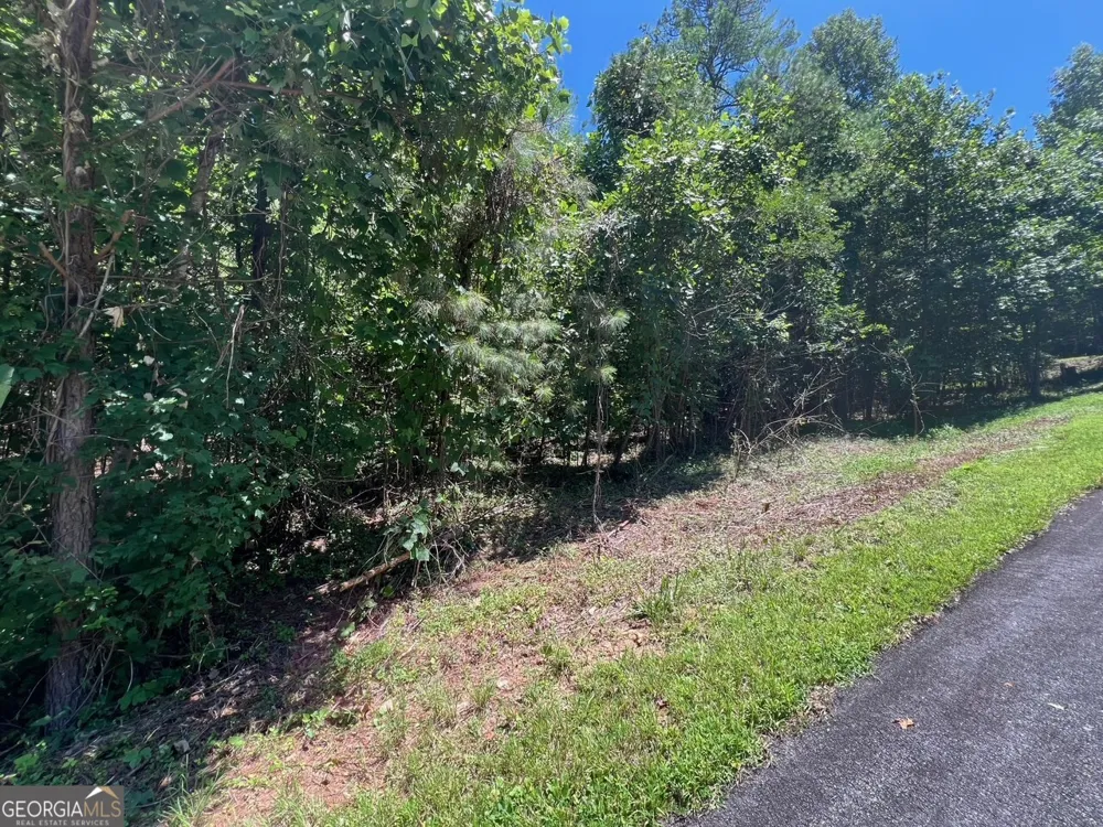 64 Meadow Brooke DR Young Harris, GA 30582