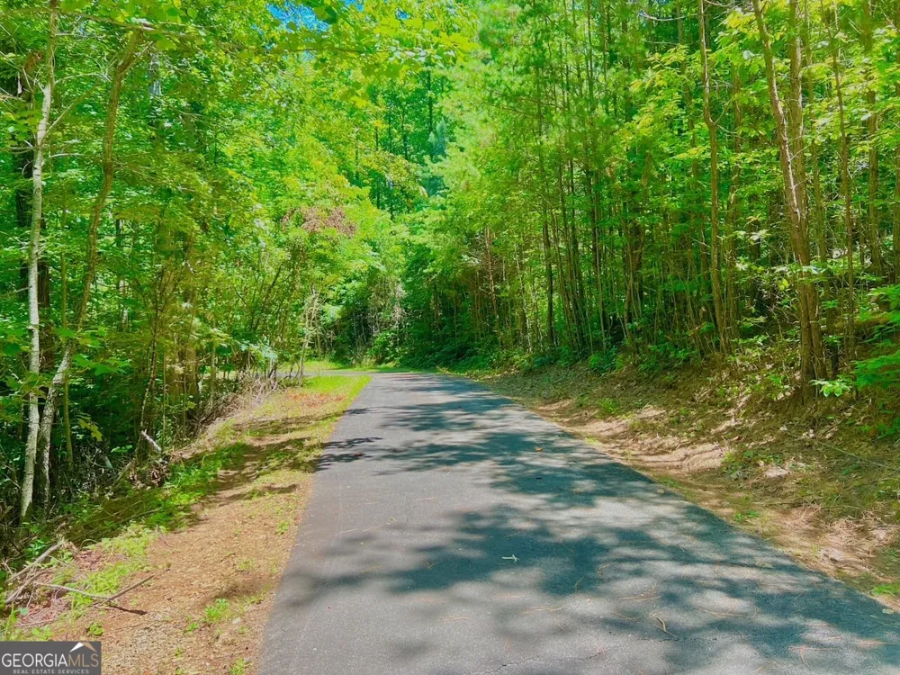 64 Meadow Brooke DR Young Harris, GA 30582