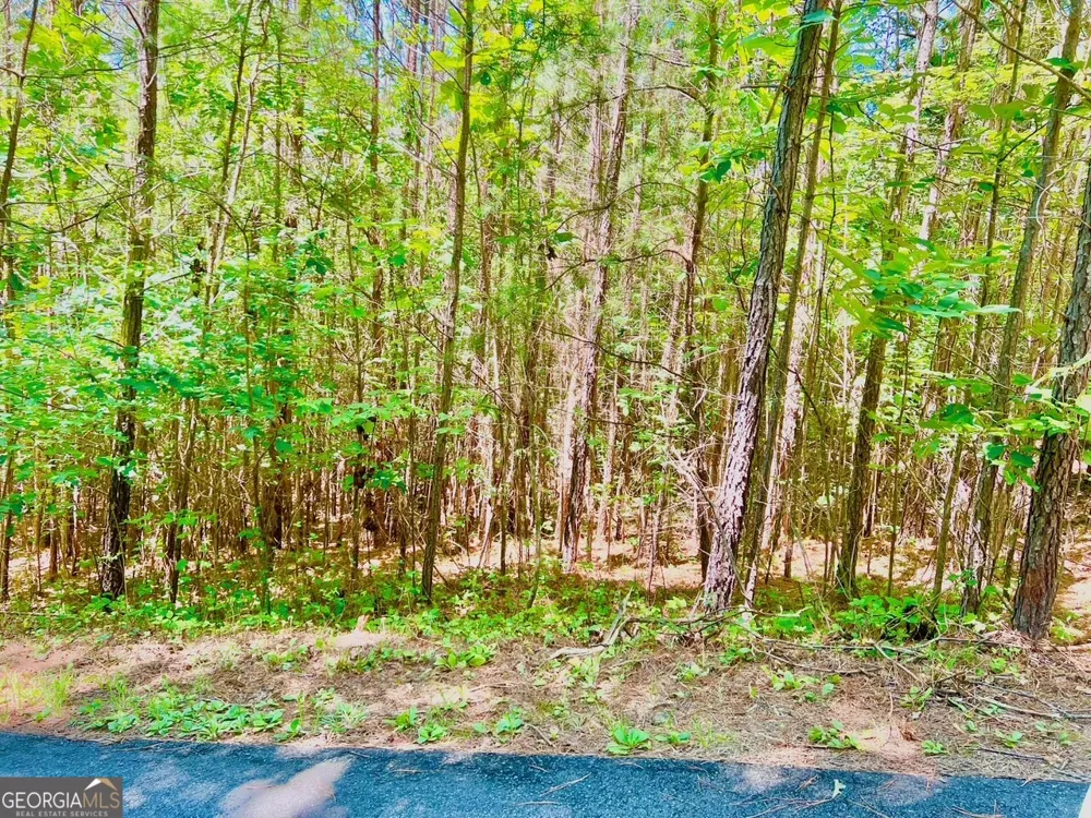 64 Meadow Brooke DR Young Harris, GA 30582