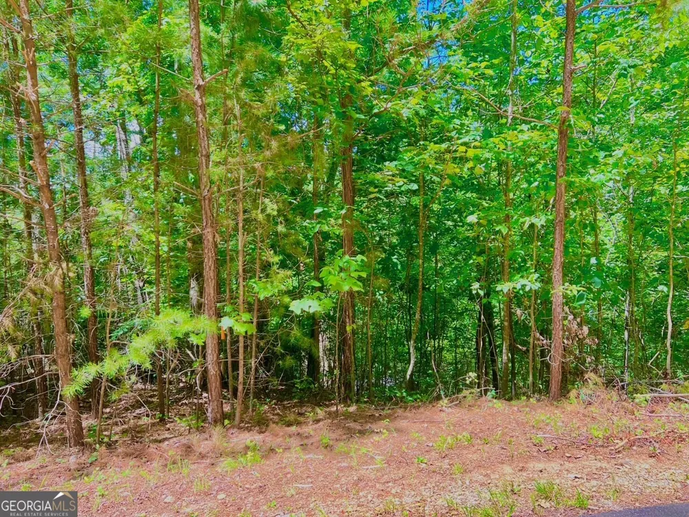 64 Meadow Brooke DR Young Harris, GA 30582