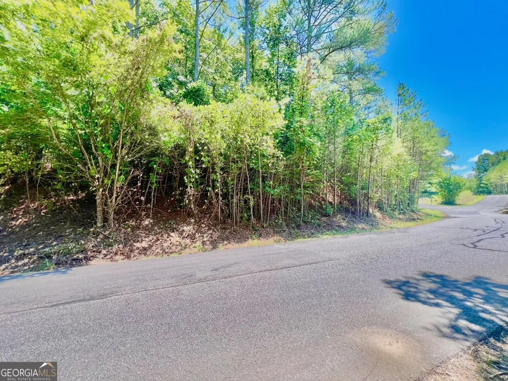 64 Meadow Brooke DR Young Harris, GA 30582