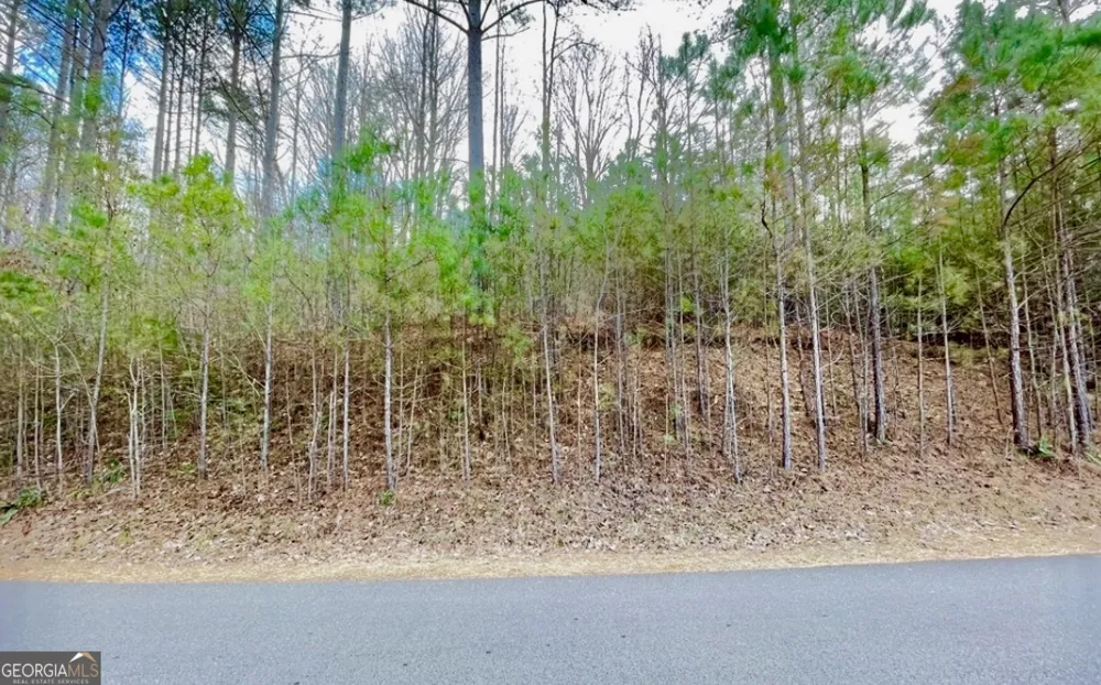 64 Meadow Brooke DR Young Harris, GA 30582