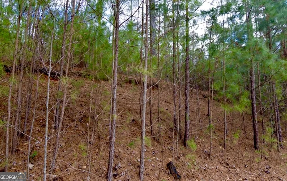 64 Meadow Brooke DR Young Harris, GA 30582