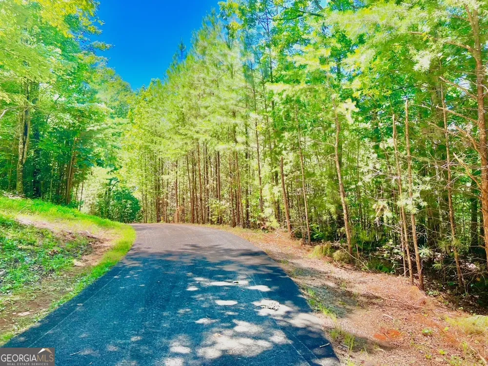 64 Meadow Brooke DR Young Harris, GA 30582