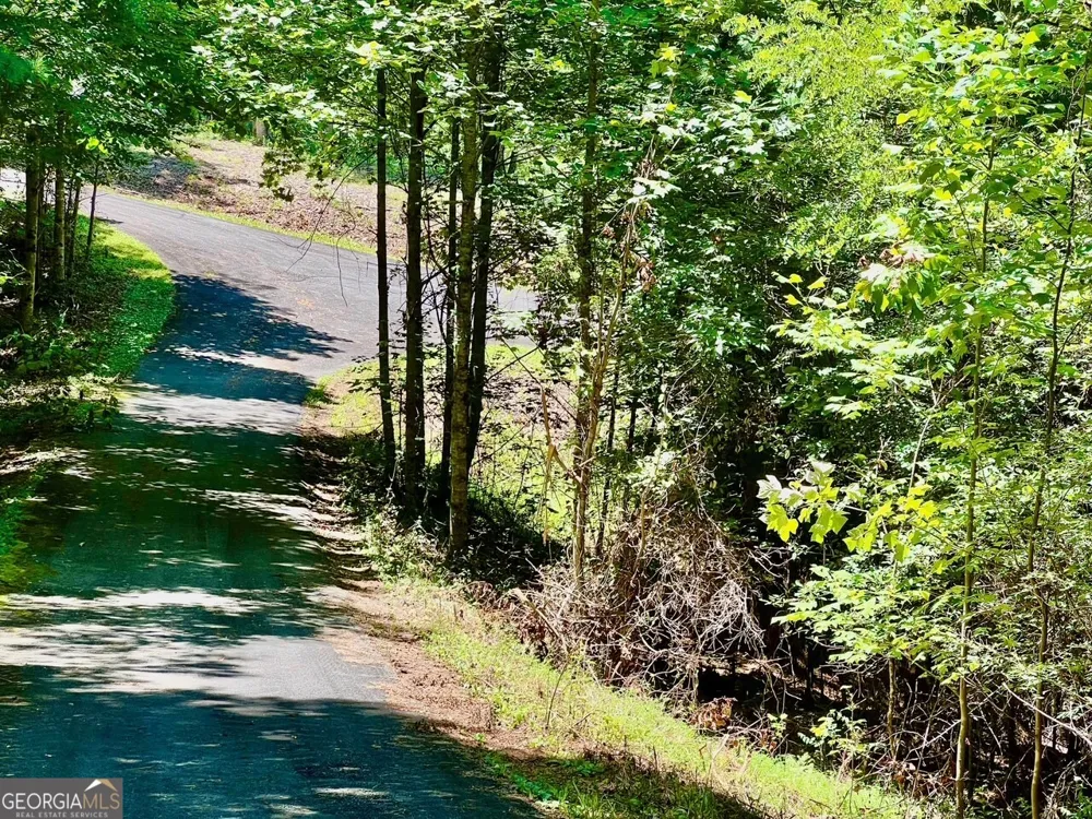 64 Meadow Brooke DR Young Harris, GA 30582