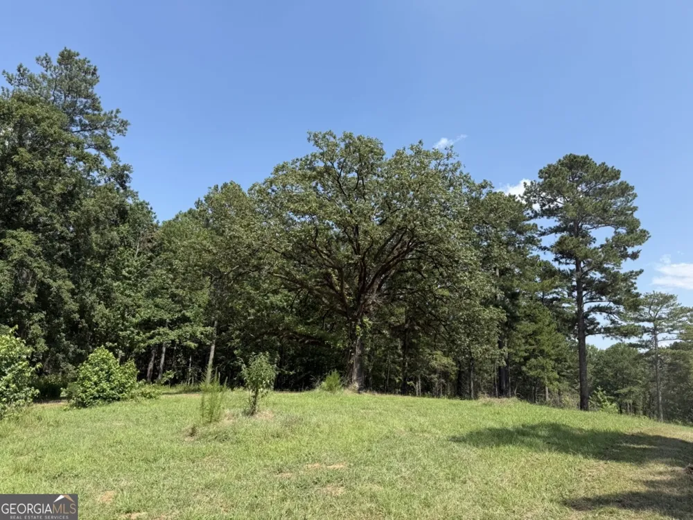 0 Rum Creek RD Juliette, GA 31046