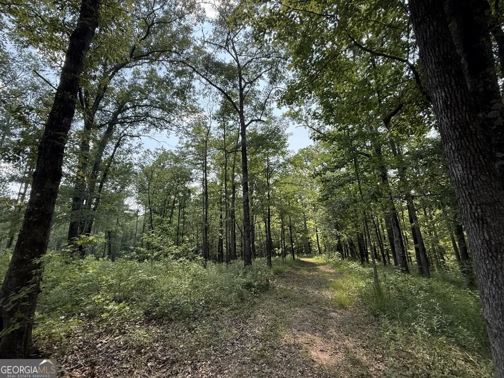 0 Rum Creek RD Juliette, GA 31046