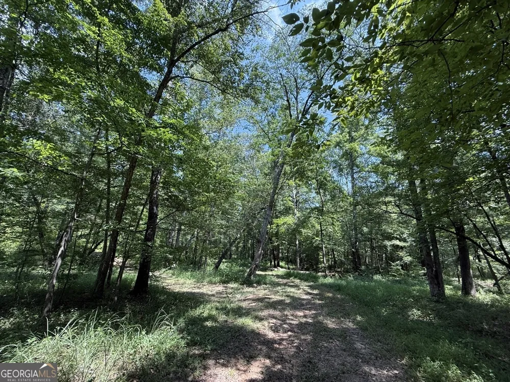 0 Rum Creek RD Juliette, GA 31046