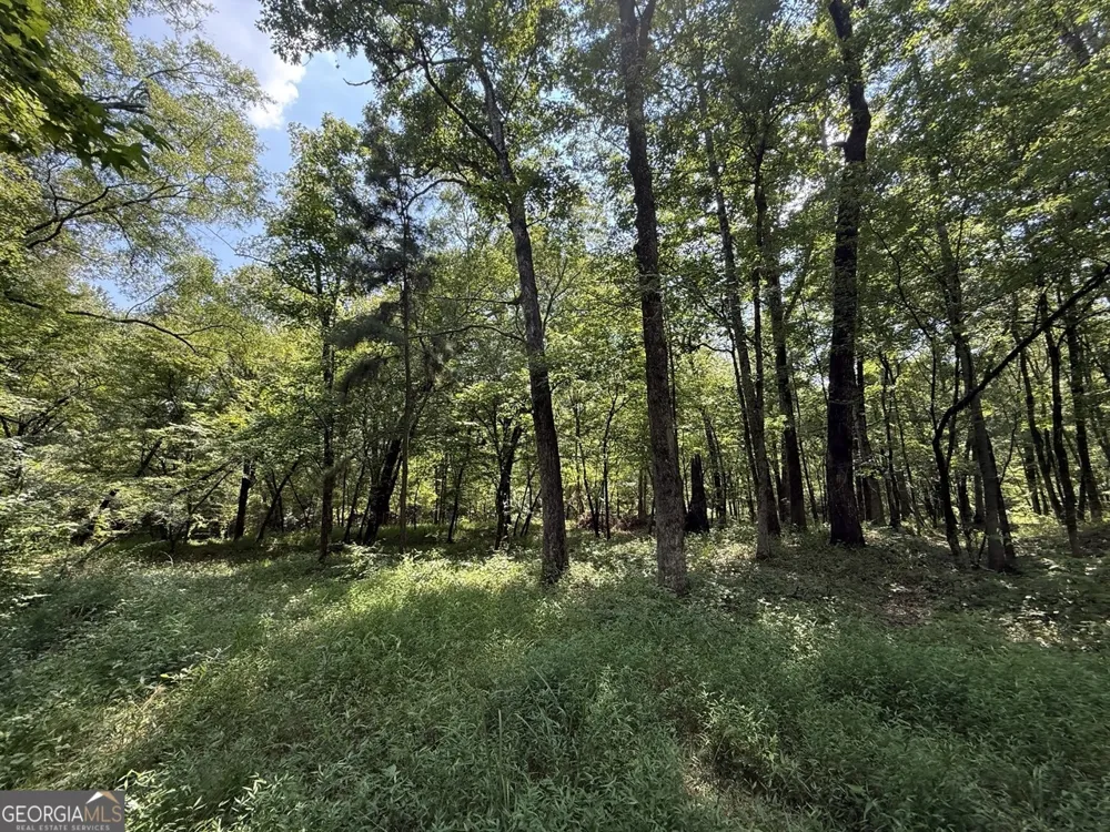 0 Rum Creek RD Juliette, GA 31046
