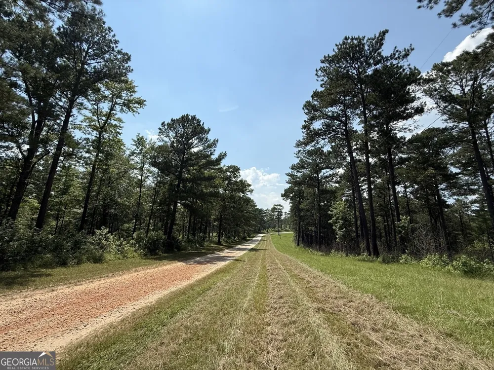 0 Rum Creek RD Juliette, GA 31046