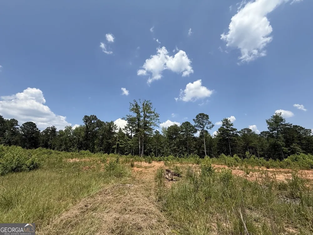 0 Rum Creek RD Juliette, GA 31046