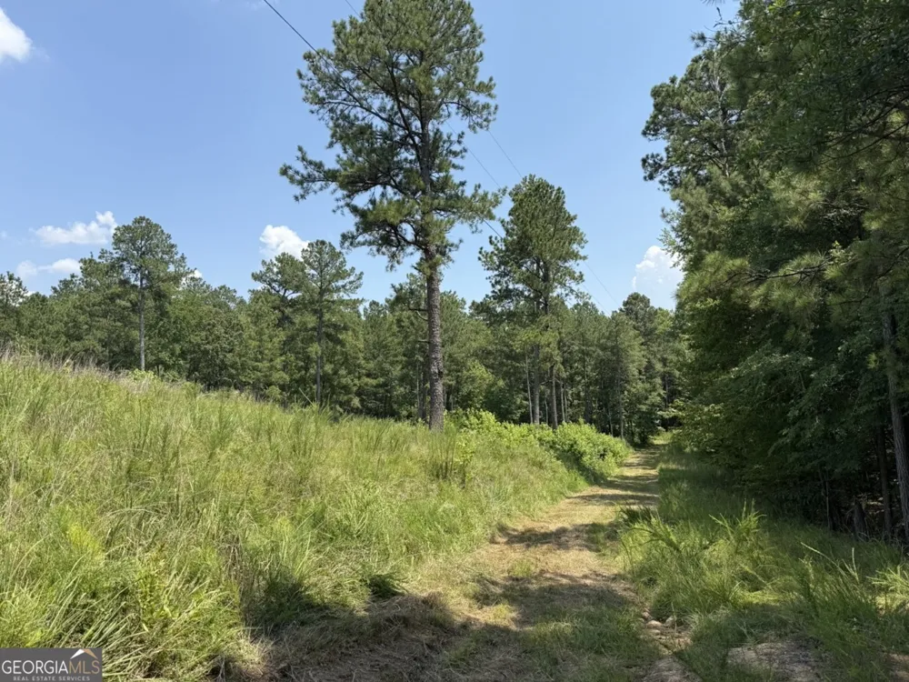 0 Rum Creek RD Juliette, GA 31046