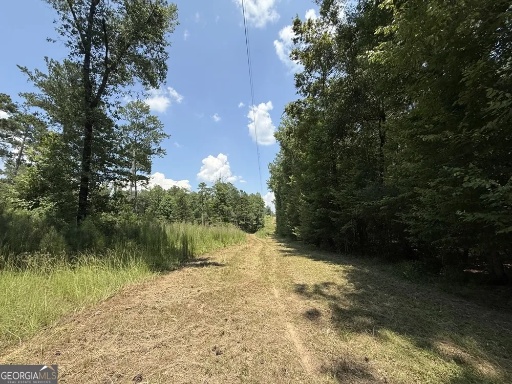 0 Rum Creek RD Juliette, GA 31046
