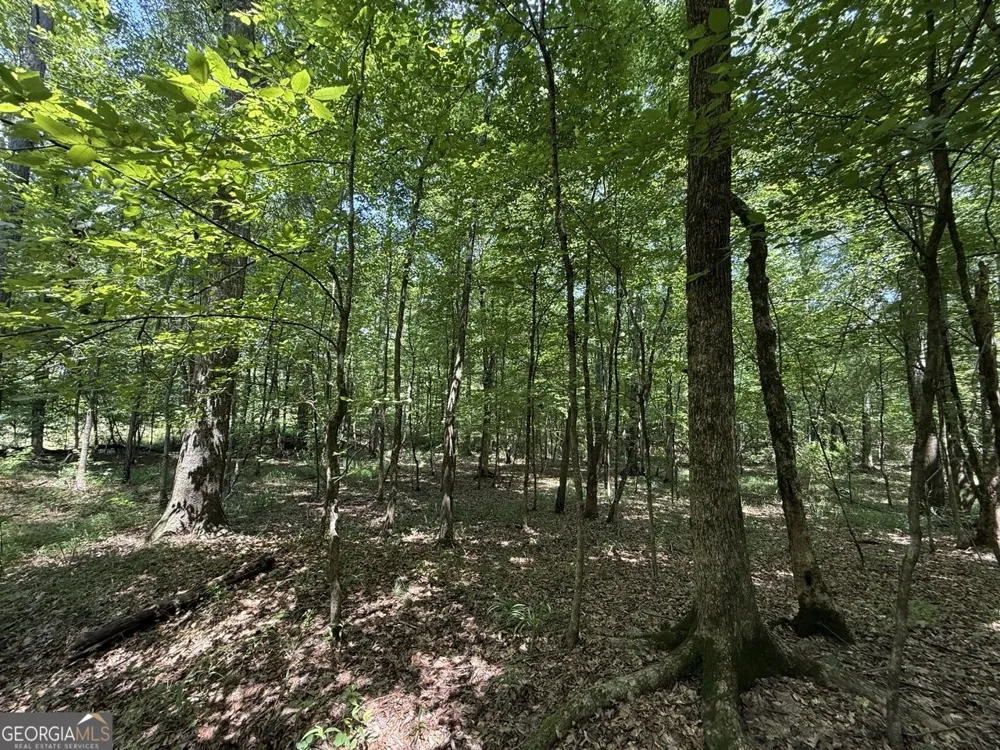 0 Rum Creek RD Juliette, GA 31046