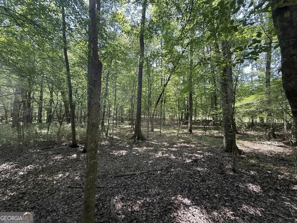 0 Rum Creek RD Juliette, GA 31046