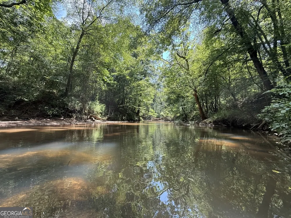 0 Rum Creek RD Juliette, GA 31046