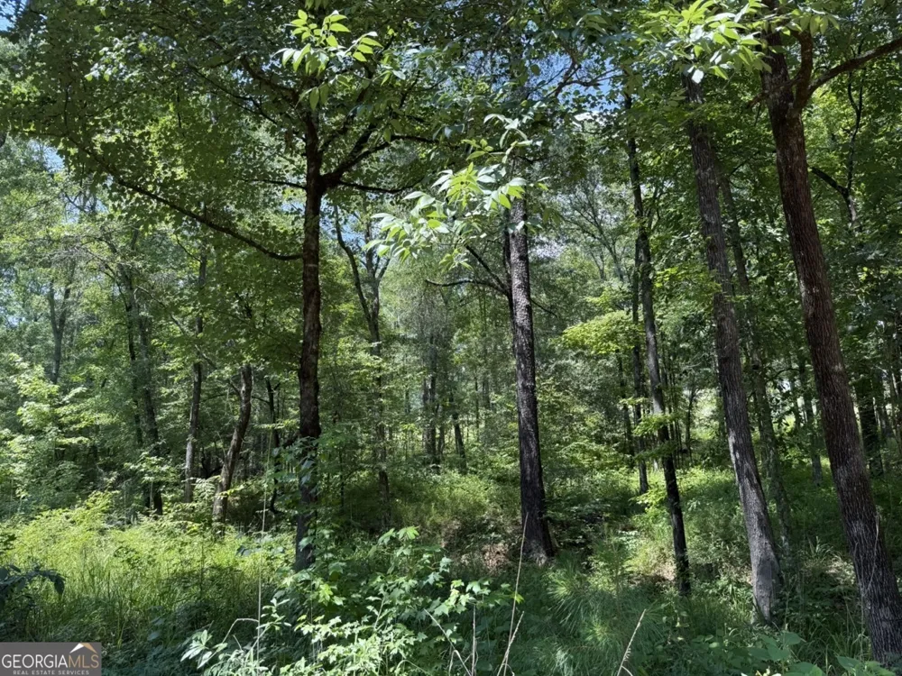0 Rum Creek RD Juliette, GA 31046