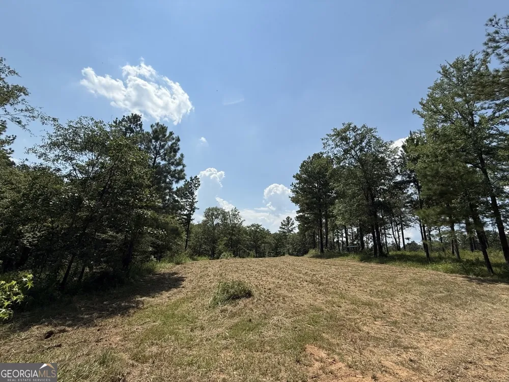 0 Rum Creek RD Juliette, GA 31046