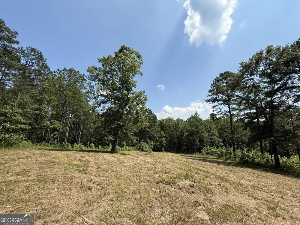 0 Rum Creek RD Juliette, GA 31046
