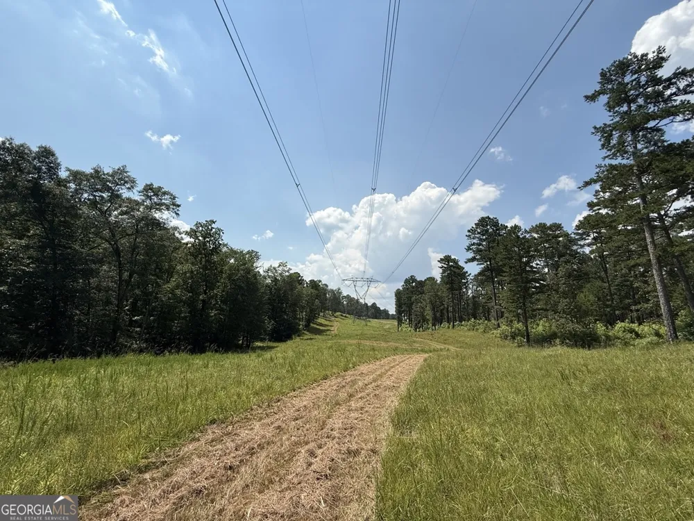 0 Rum Creek RD Juliette, GA 31046