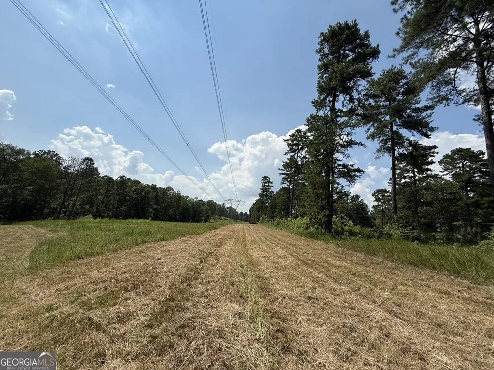 0 Rum Creek RD Juliette, GA 31046