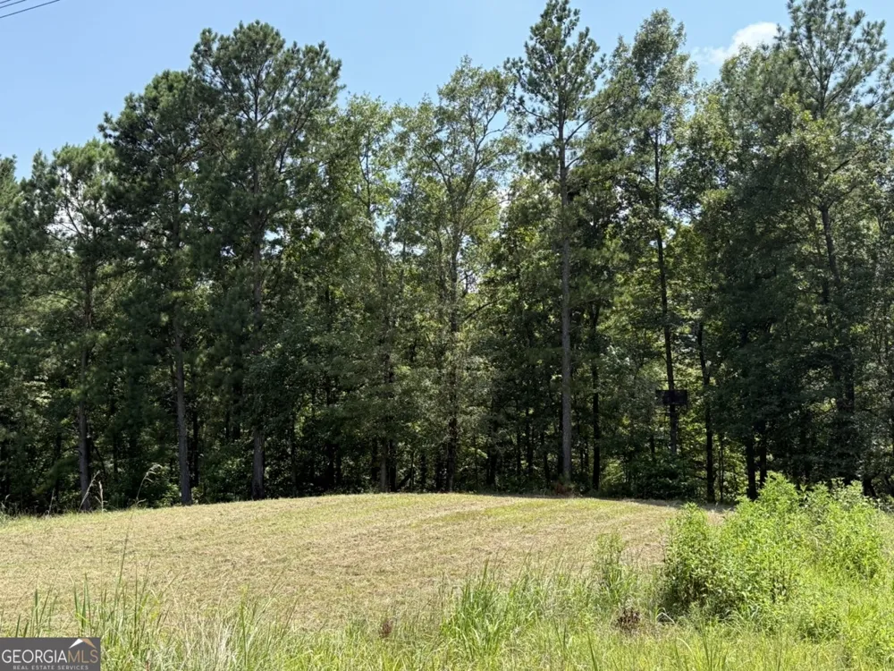 0 Rum Creek RD Juliette, GA 31046