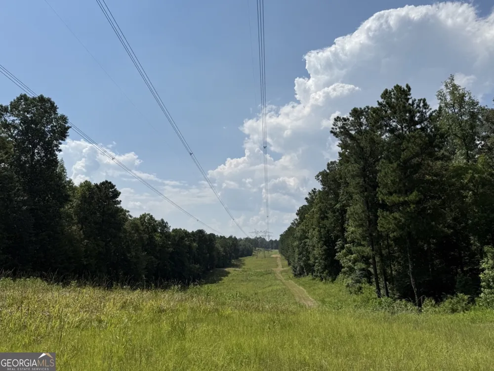 0 Rum Creek RD Juliette, GA 31046