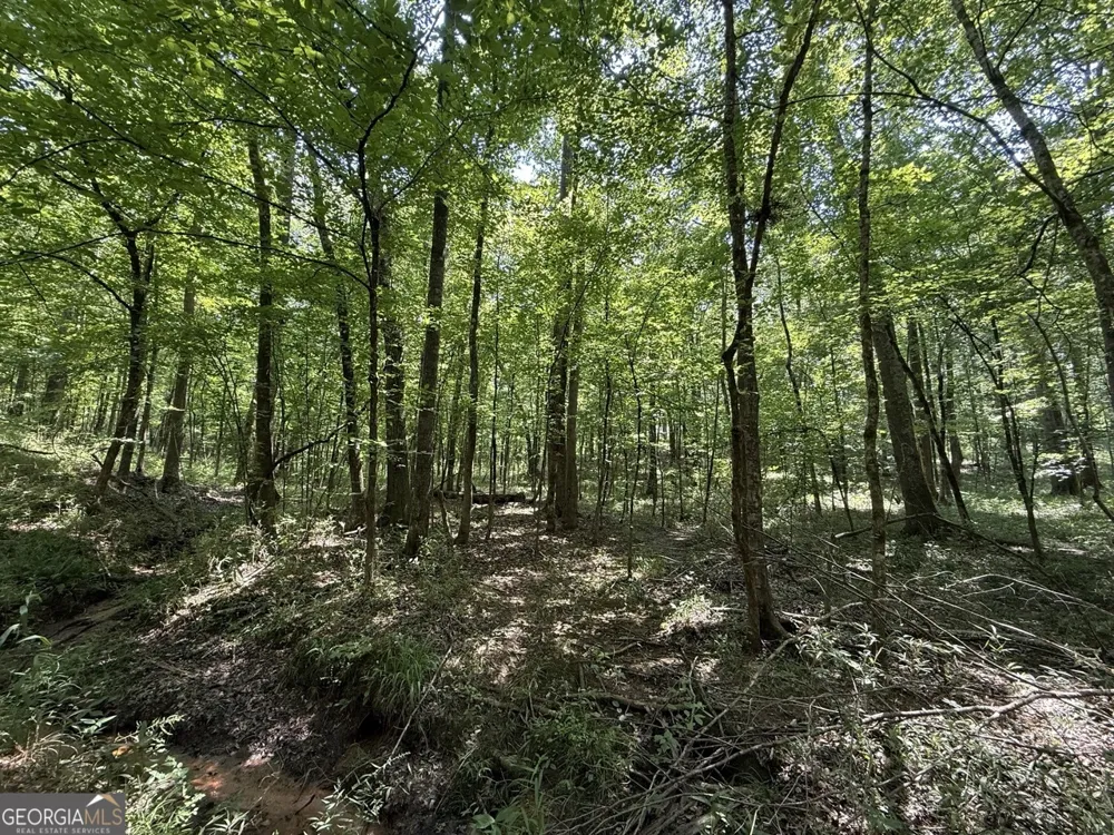 0 Rum Creek RD Juliette, GA 31046