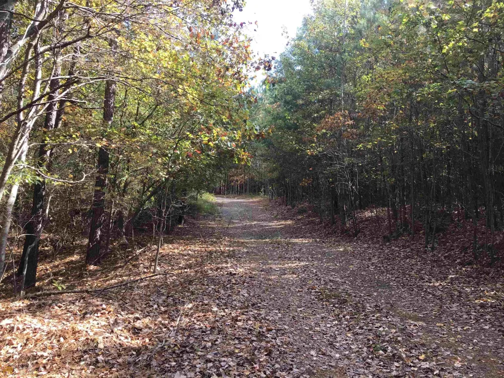 0 Snow Springs RD Adairsville, GA 30103