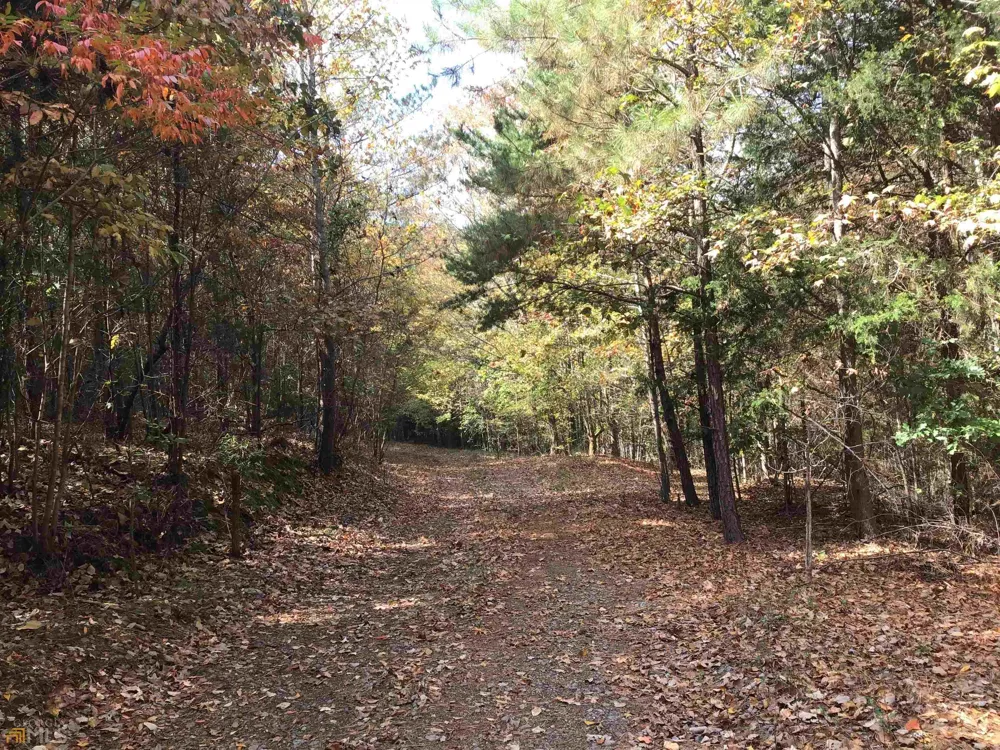 0 Snow Springs RD Adairsville, GA 30103