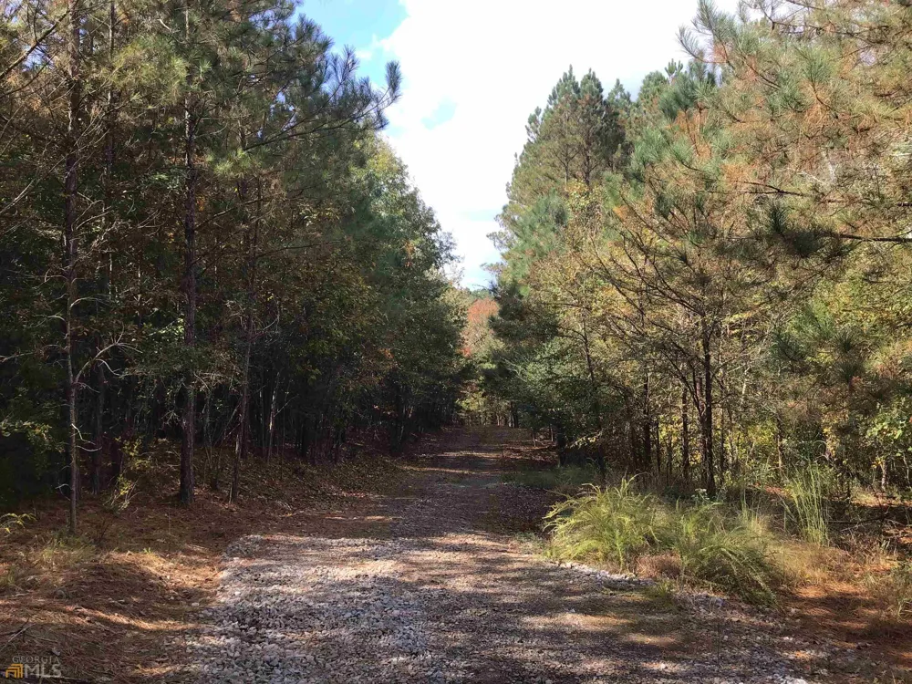 0 Snow Springs RD Adairsville, GA 30103