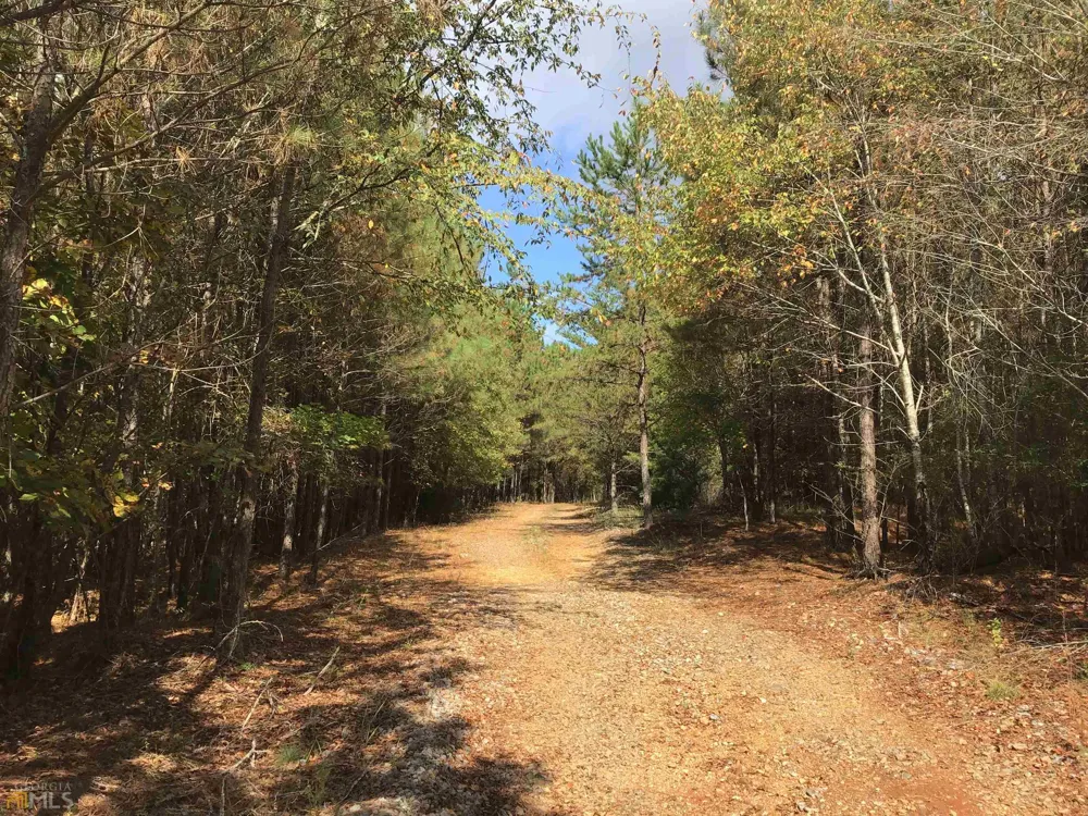 0 Snow Springs RD Adairsville, GA 30103