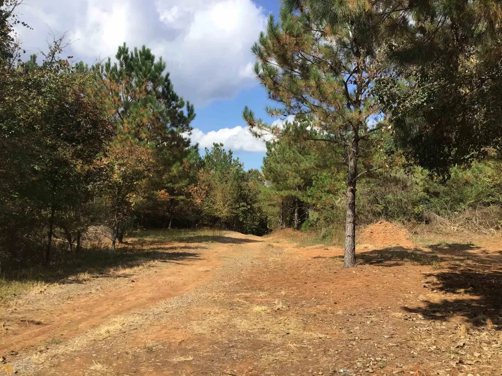 0 Snow Springs RD Adairsville, GA 30103