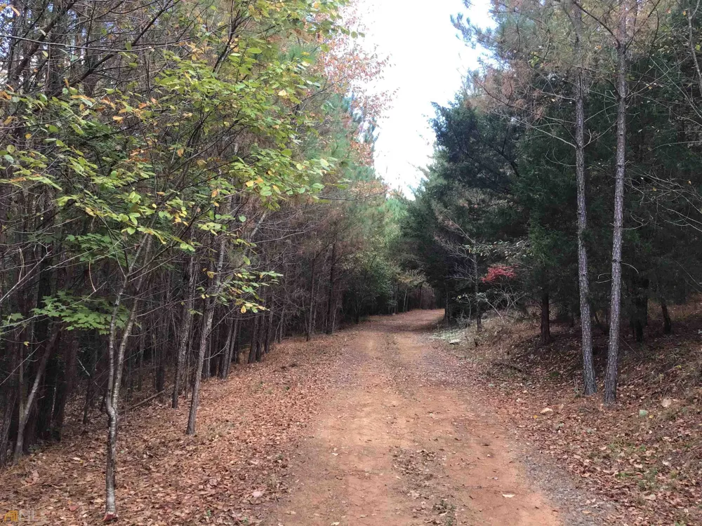 0 Snow Springs RD Adairsville, GA 30103