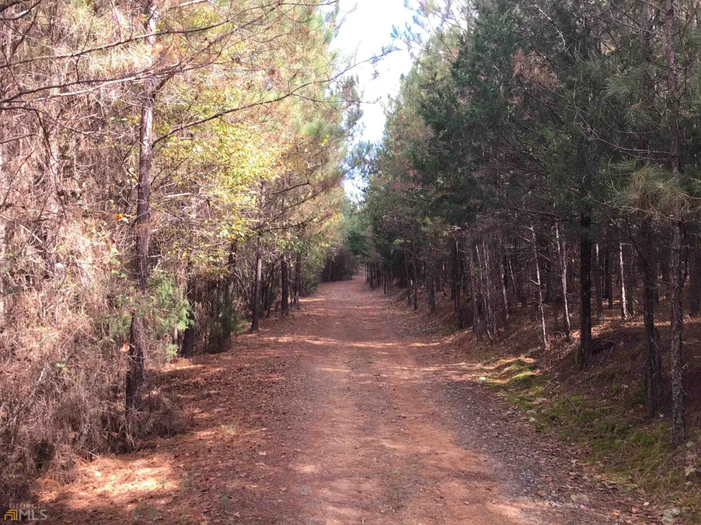 0 Snow Springs RD Adairsville, GA 30103