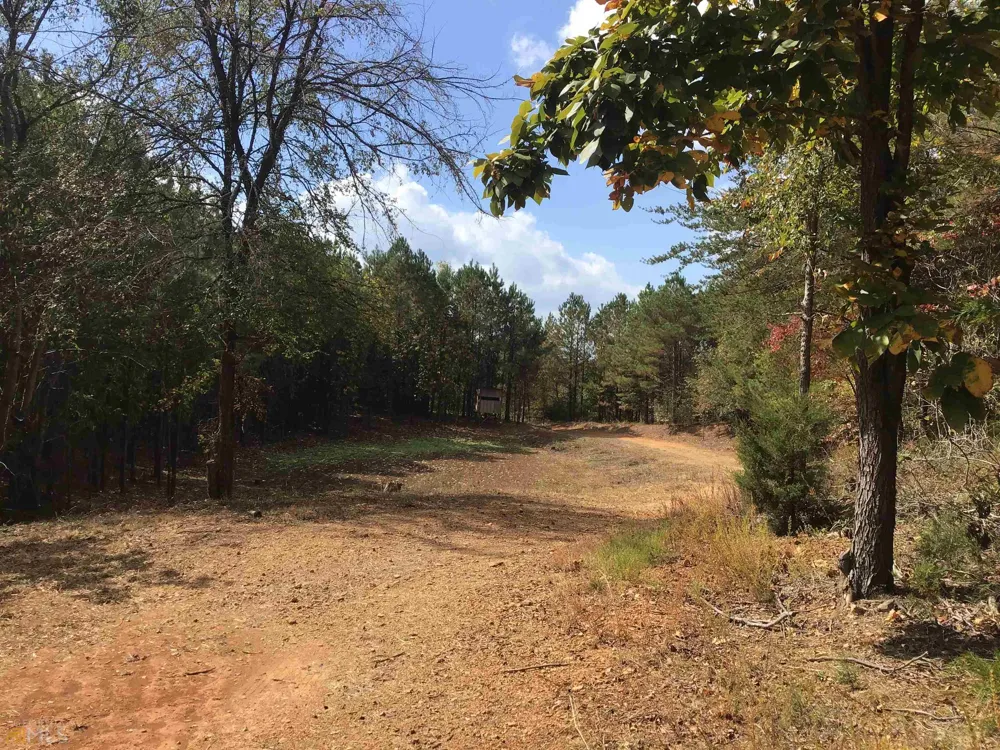 0 Snow Springs RD Adairsville, GA 30103