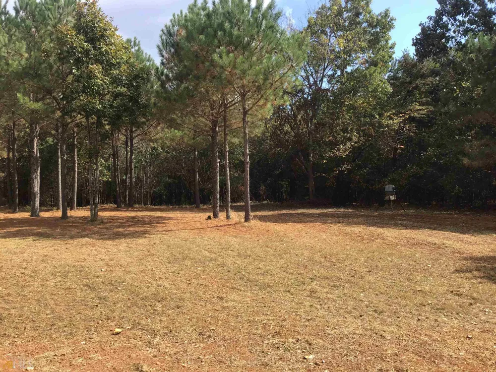 0 Snow Springs RD Adairsville, GA 30103
