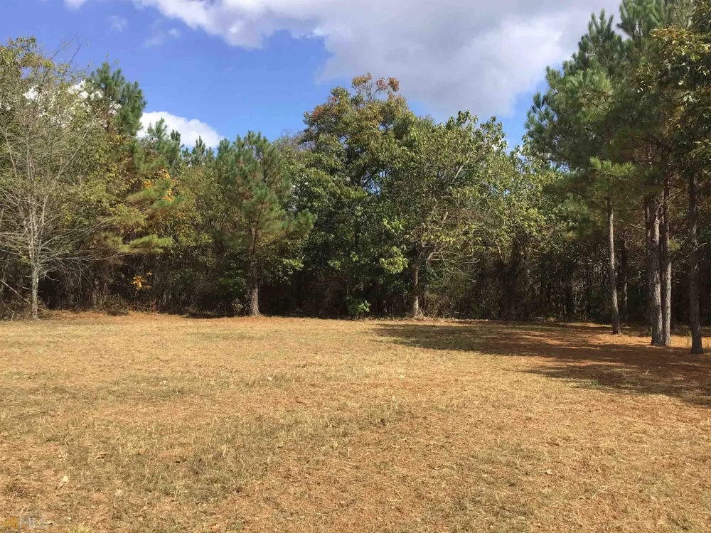 0 Snow Springs RD Adairsville, GA 30103