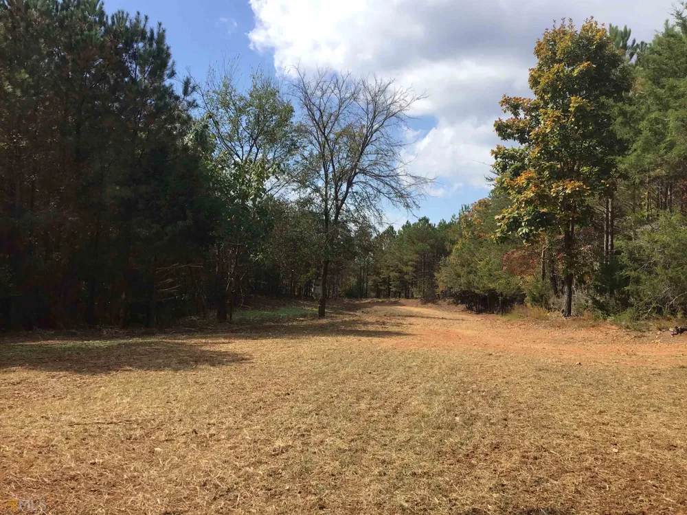 0 Snow Springs RD Adairsville, GA 30103