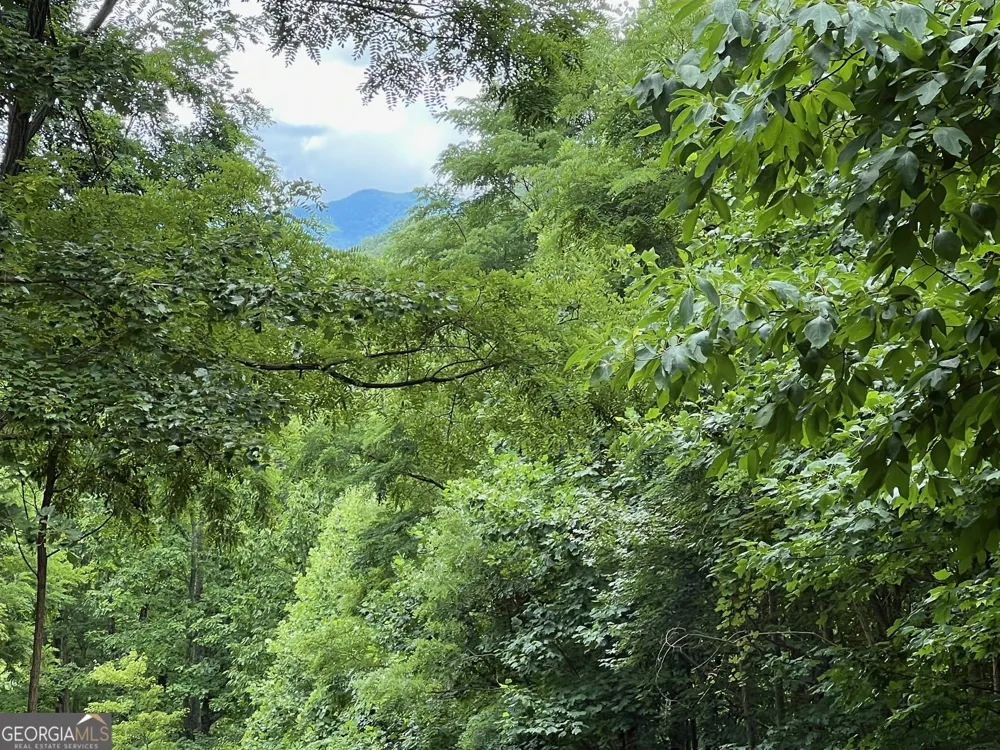 0 Overlook DR Young Harris, GA 30582