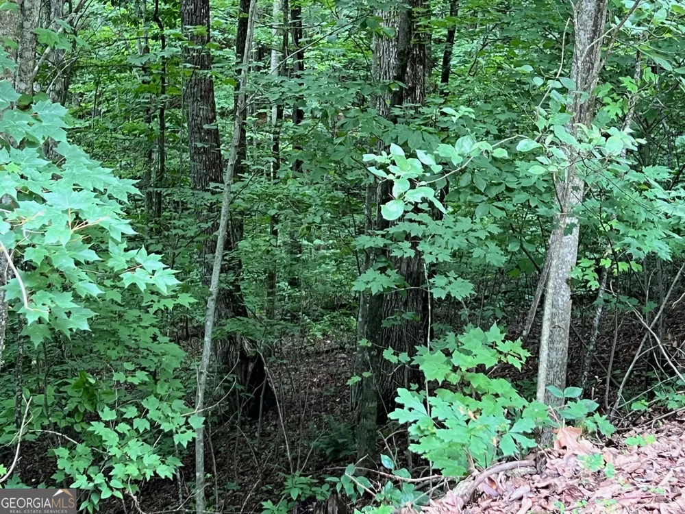 0 Overlook DR Young Harris, GA 30582