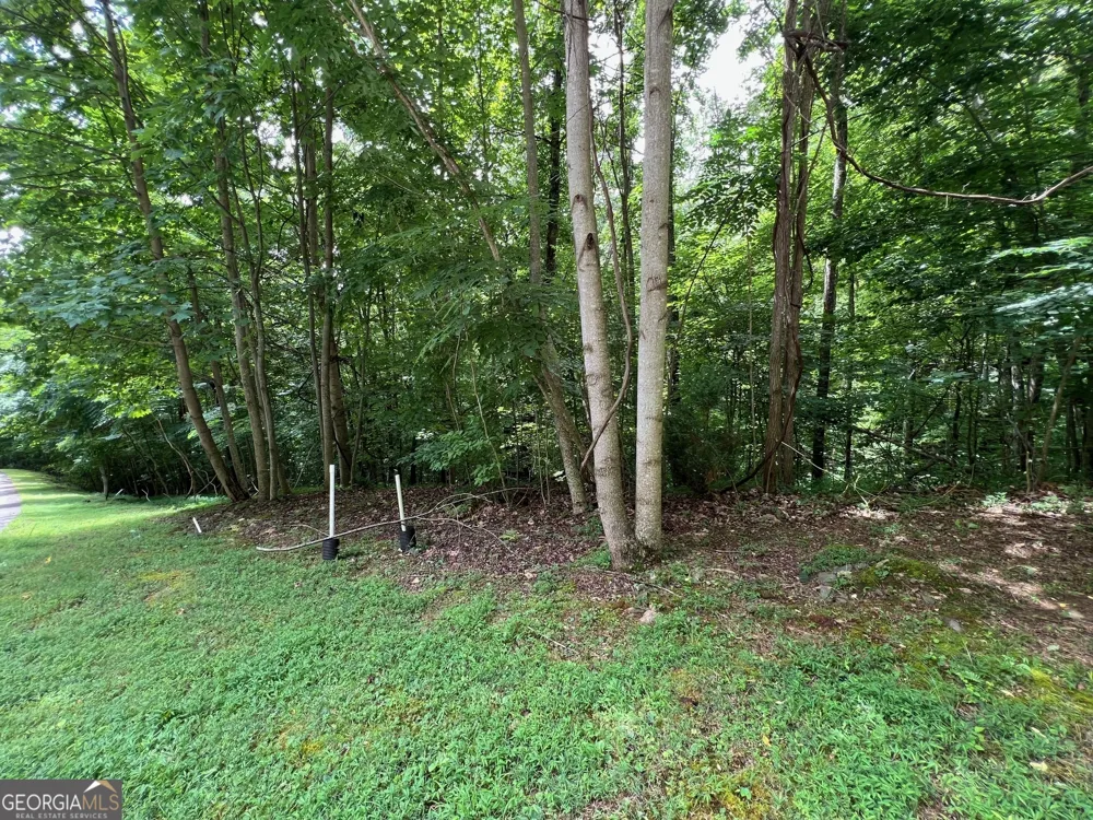 0 Overlook DR Young Harris, GA 30582