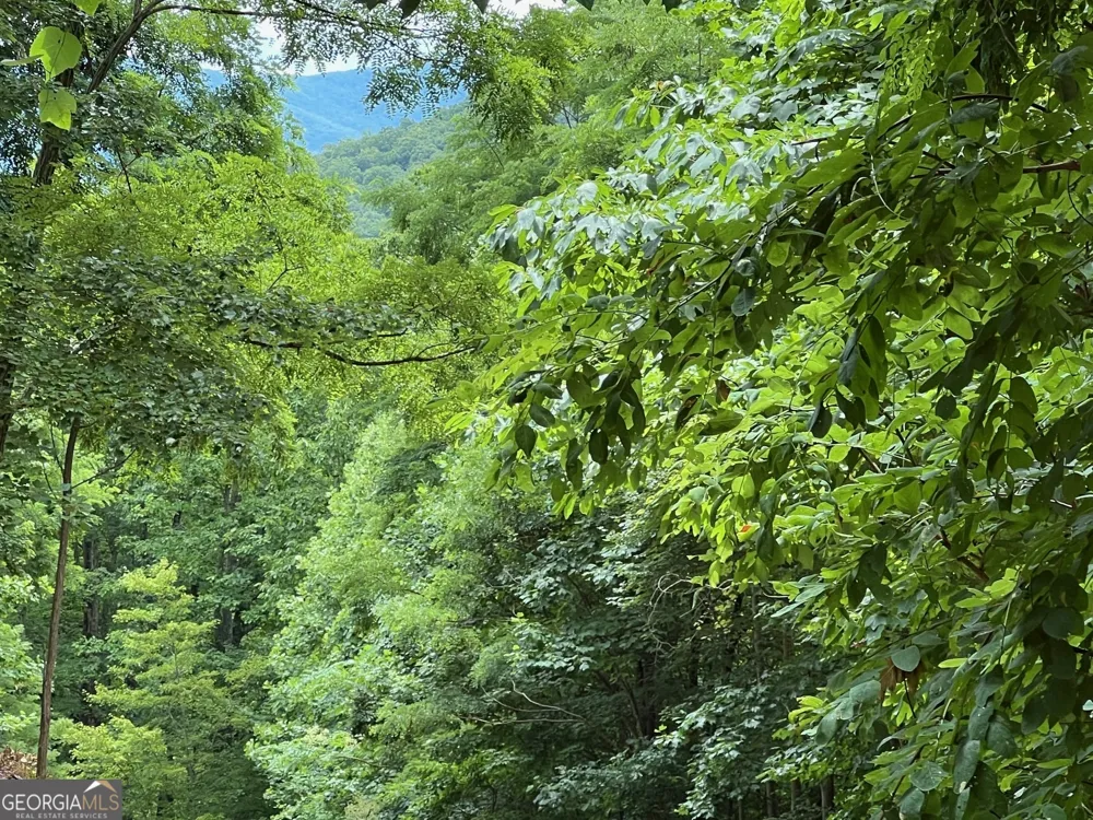 0 Overlook DR Young Harris, GA 30582