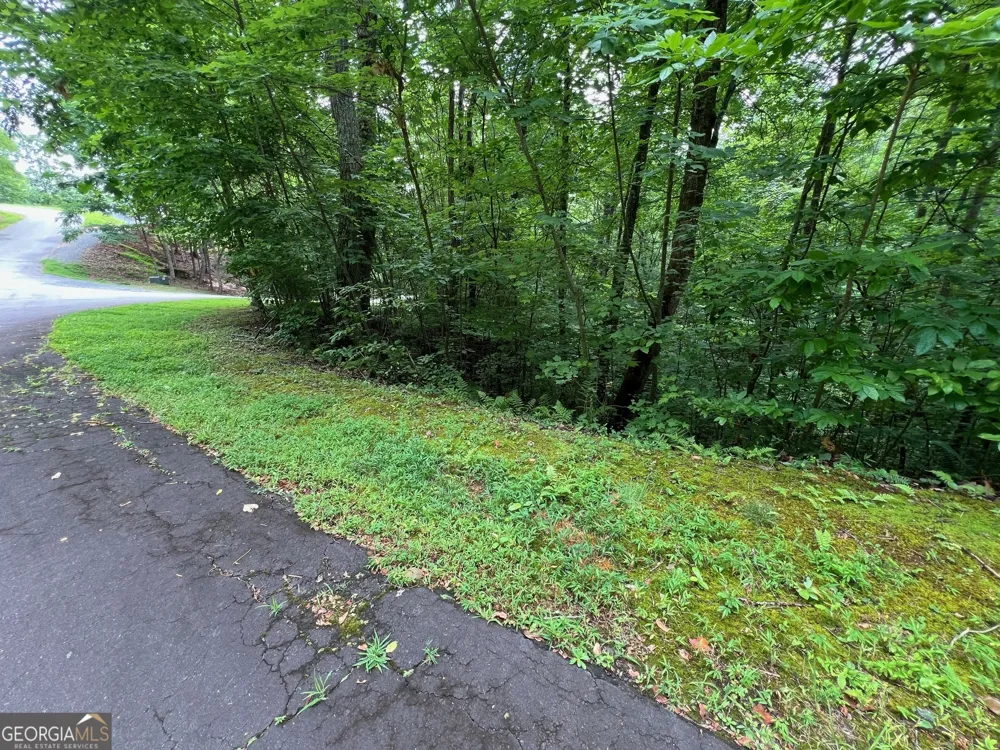 0 Overlook DR Young Harris, GA 30582