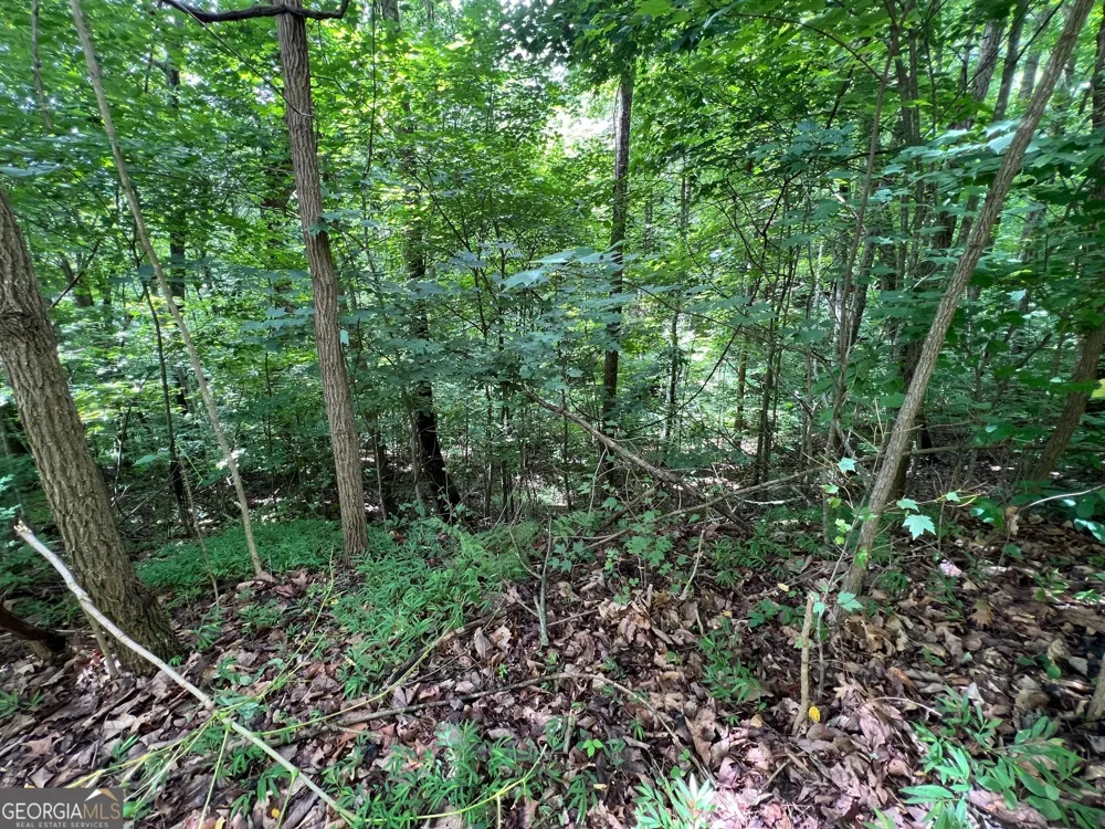 0 Overlook DR Young Harris, GA 30582