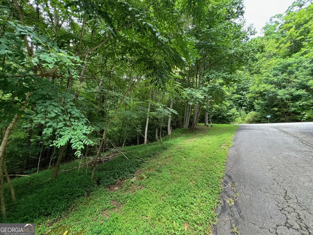 0 Overlook DR Young Harris, GA 30582