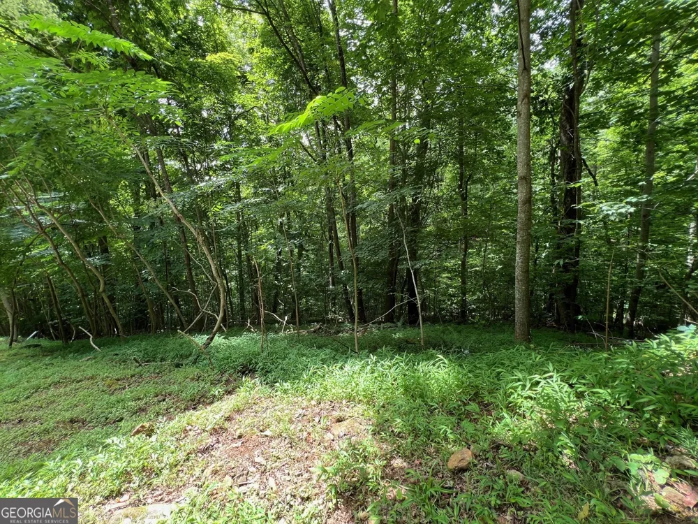 0 Overlook DR Young Harris, GA 30582